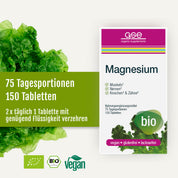 Schachtel mit „gse.organic.supplements“-Magnesium-Tabletten (Bio) mit deutschem Text, der die positiven Wirkungen auf Muskeln, Nerven, Knochen und Zähne hervorhebt. Die Verpackung ist als „Bio“, „vegan“, „glutenfrei“ und „laktosefrei“ gekennzeichnet, um Ihren Magnesiumbedarf zu decken, was durch grüne Salatblätter visuell hervorgehoben wird.