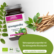 Ein Glas Ashwagandha (Bio) von gse organic supplements mit einem grünen Bio-Etikett, umgeben von Ashwagandha-Wurzeln und -Blättern. Der Text hebt hervor, dass dieses Bio-Produkt - auch indischer Ginseng genannt - vegan, glutenfrei und laktosefrei ist.