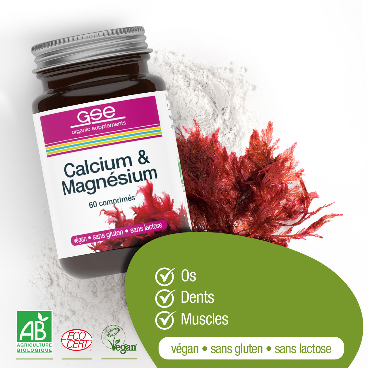 Ein Glas gse.organic.supplements Calcium & Magnesium Complex (Bio) FR ruht auf einer weißen Fläche neben roten Algen. Die vegane, glutenfreie und laktosefreie Formel unterstützt Knochen, Zähne und Muskeln mit pflanzlichen Mineralien.