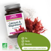 Ein Glas gse.organic.supplements Calcium & Magnesium Complex (Bio) FR ruht auf einer weißen Fläche neben roten Algen. Die vegane, glutenfreie und laktosefreie Formel unterstützt Knochen, Zähne und Muskeln mit pflanzlichen Mineralien.