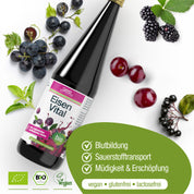 Eine Flasche Eisen Vital Complex (Bio) von gse.organic.supplements ruht auf einer weißen Fläche mit Trauben, schwarzen Johannisbeeren, Kirschen und grünen Blättern, die sein pflanzliches Eisen für die Blutbildung, den Sauerstofftransport und die Verringerung von Müdigkeit hervorheben.