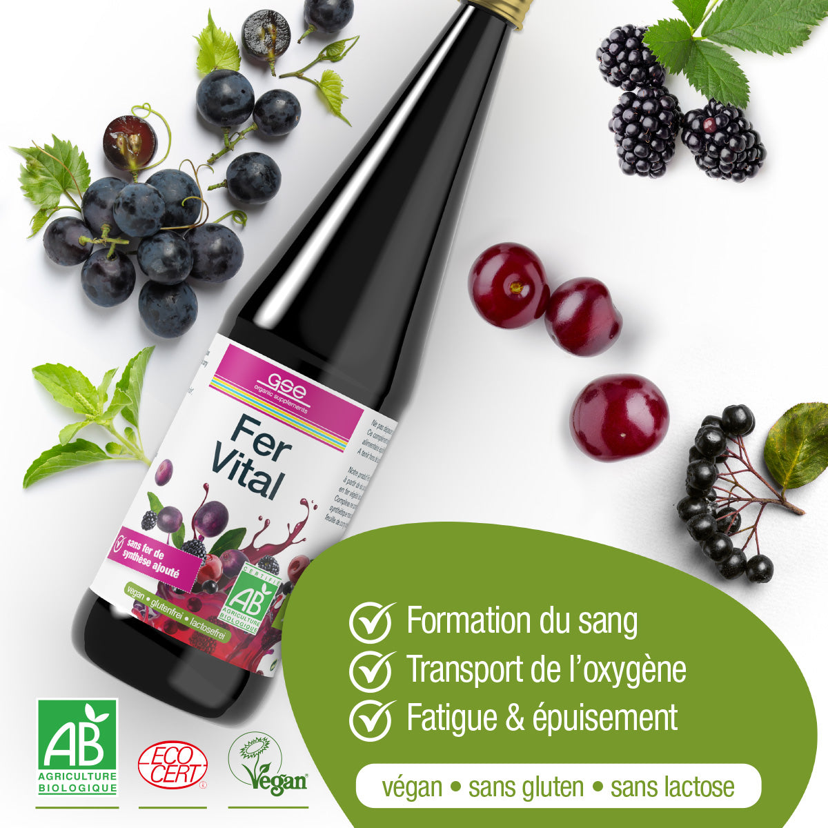 Eine Flasche Eisen Vital Complex (Bio) FR von gse.organic.supplements mit Trauben, Kirschen und Blättern. Der Text hebt die veganen, glutenfreien und laktosefreien Vorteile hervor und erwähnt pflanzliches Eisen für die Blutbildung und gegen Müdigkeit.