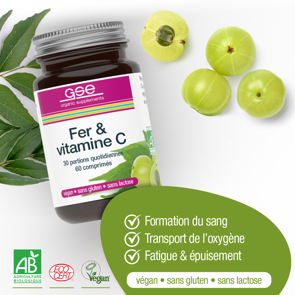 Eine Flasche gse.organic.supplements Eisen & Vitamin C Complex (Bio)FR liegt neben frischen Amla-Scheiben. Der Text hebt die Vorteile hervor: unterstützt die Blutbildung, den Sauerstofftransport, reduziert Müdigkeit. Die Plaketten zeigen, dass es vegan und frei von Gluten und Laktose ist.