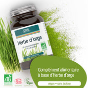 Ein braunes Ergänzungsglas mit der Aufschrift Gerstengras Pulver (Bio) FR von gse.organic.supplements steht auf einer Fläche mit nährstoffreichem Gerstengraspulver und frischen Halmen, die vegan, laktosefrei, EcoCert Bio und Vegan zertifiziert sind.