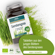 Eine Flasche Gerstengras Tabletten (Bio) von gse.organic.supplements liegt auf der Seite mit nährstoffreichen Getreidegräsern und Pulver im Hintergrund. Auf dem deutschen Etikett steht, dass die Tabletten vegan, biologisch und laktosefrei sind.