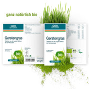 Box der Gerstengras Tabletten (Bio) von gse.organic.supplements mit Getreidegräser-Illustration, sichtbaren Vegan- und Laktosefrei-Symbolen sowie Nährwertangaben; grünes Gras ziert den Hintergrund.