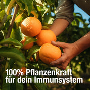 Eine Person pflückt frische Orangen von einem Baum. Der deutsche Text "100% Pflanzenkraft für dein Immunsystem" wirbt für das gse Bio-Nahrungsergänzungsmittel Immun Boost Paket mit Vitamin C, Zink und Selen zur Unterstützung des Immunsystems.