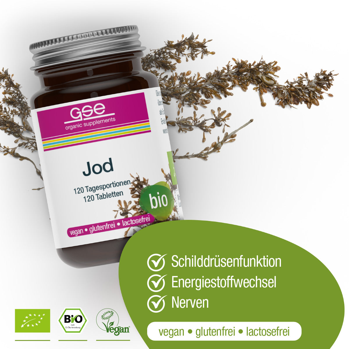 Eine Dose gse.organic.supplements Jod Compact (Bio) ist mit getrockneten Pflanzen abgebildet. Laut Etikett ist es vegan, glutenfrei, enthält natürliches Jod und unterstützt Schilddrüsenhormone, Stoffwechsel und Nerven. Mit grünen und weißen Design-Highlights.