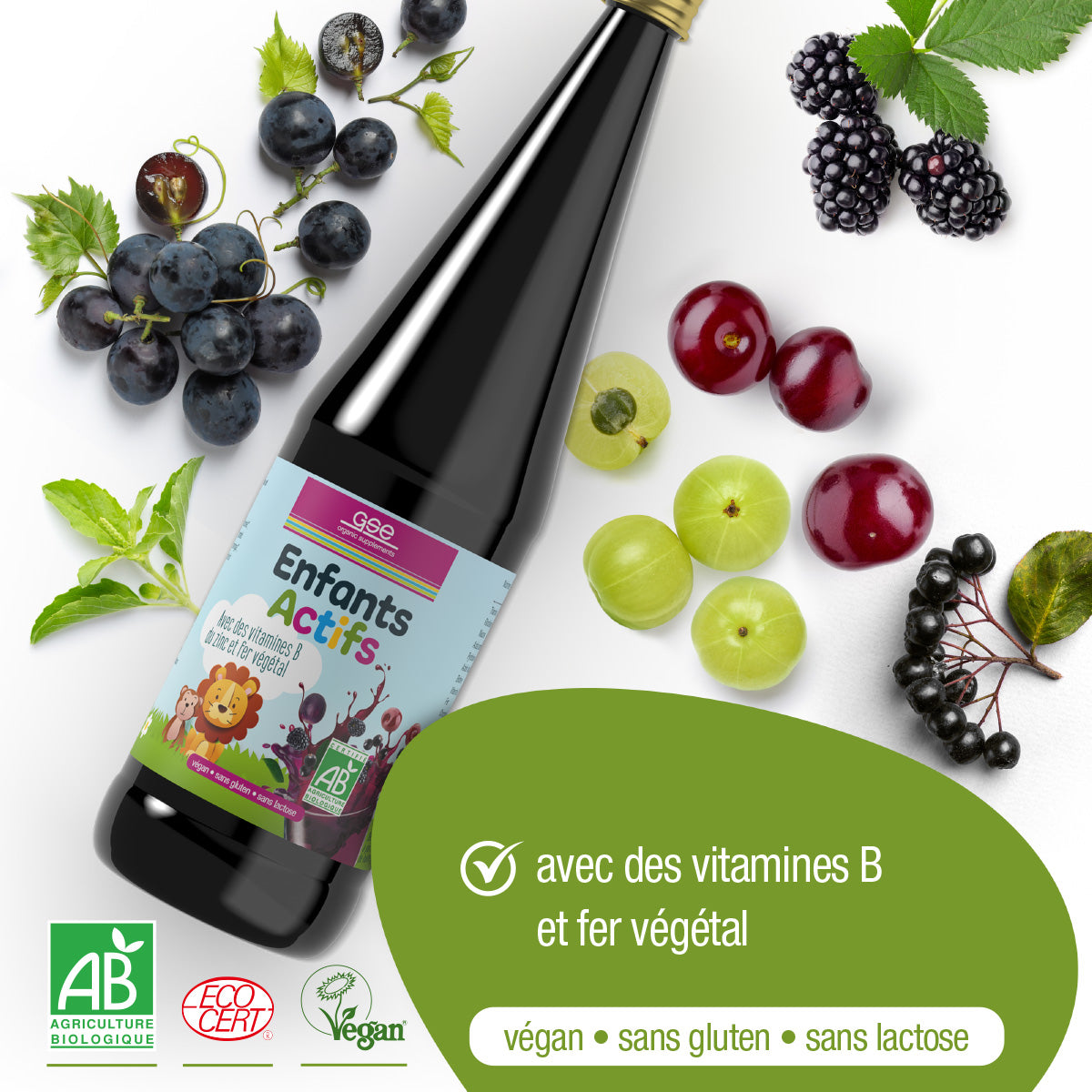 Eine gse.organic.supplements Flasche mit der Aufschrift Kinder Aktiv Complex (Bio) FR ist mit schwarzen Trauben, Kirschen, Stachelbeeren und Blättern abgebildet. Der französische Text hebt pflanzliches Eisen und B-Vitamine in dieser veganen, gluten- und laktosefreien Formel hervor.