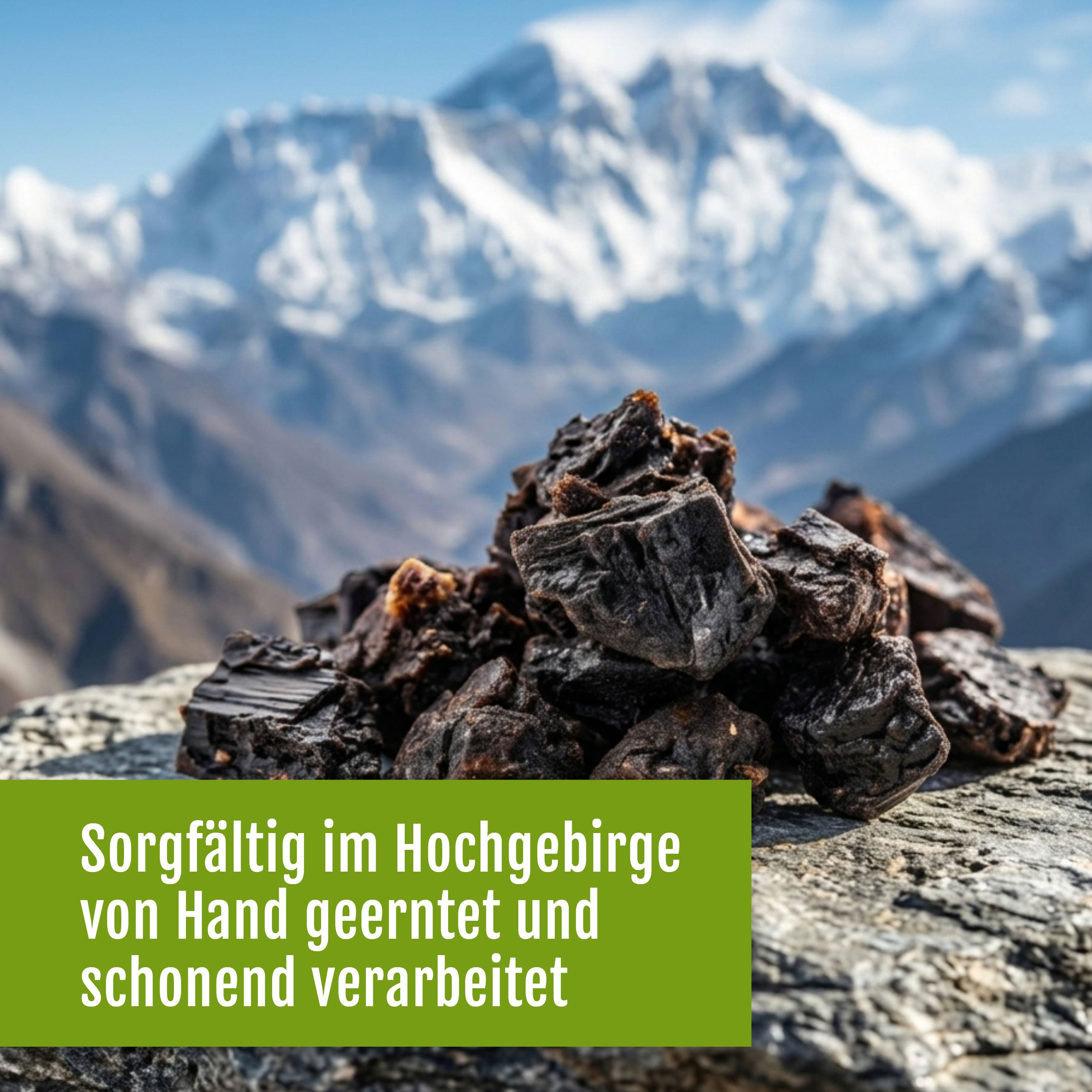 Mehrere Stücke dunkles, getrocknetes Shilajit-Harz von gse.organic.supplements ruhen auf einem Felsen vor verschneitem Himalaya; deutscher Text: Sorgfältig im Hochgebirge von Hand geerntet und schonend verarbeitet.