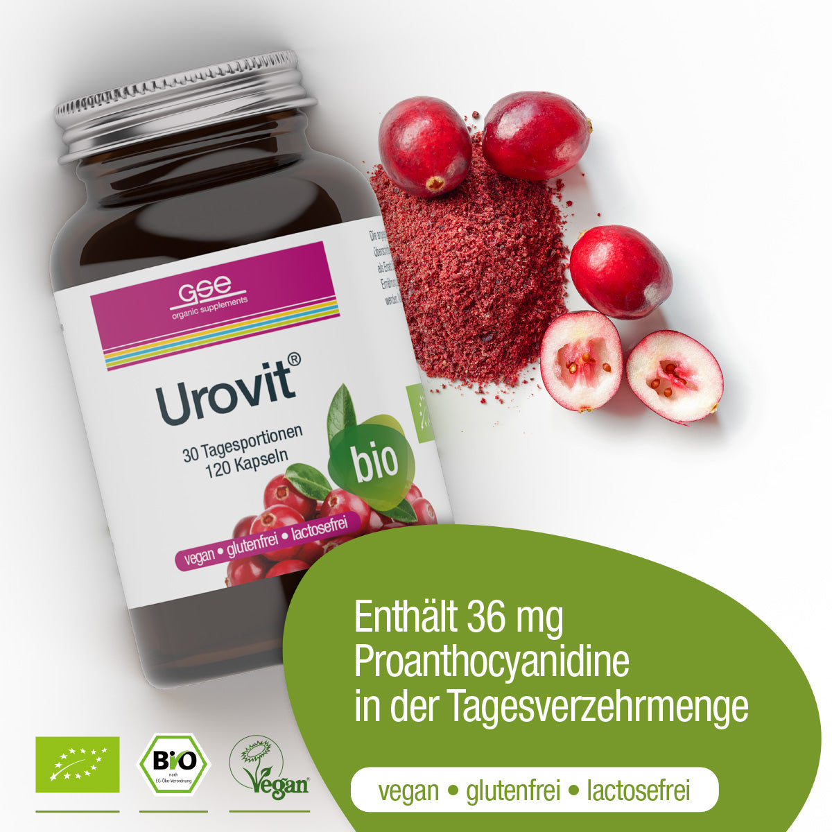 Eine Flasche Urovit®-Cranberry Kapseln (Bio) von gse.organic.supplements ist neben Cranberries und Pulver abgebildet. Dieses vegane, gluten- und laktosefreie Ergänzungsmittel enthält 36 mg Proanthocyanidin pro Portion.
