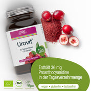 Eine Flasche Urovit®-Cranberry Kapseln (Bio) von gse.organic.supplements ist neben Cranberries und Pulver abgebildet. Dieses vegane, gluten- und laktosefreie Ergänzungsmittel enthält 36 mg Proanthocyanidin pro Portion.