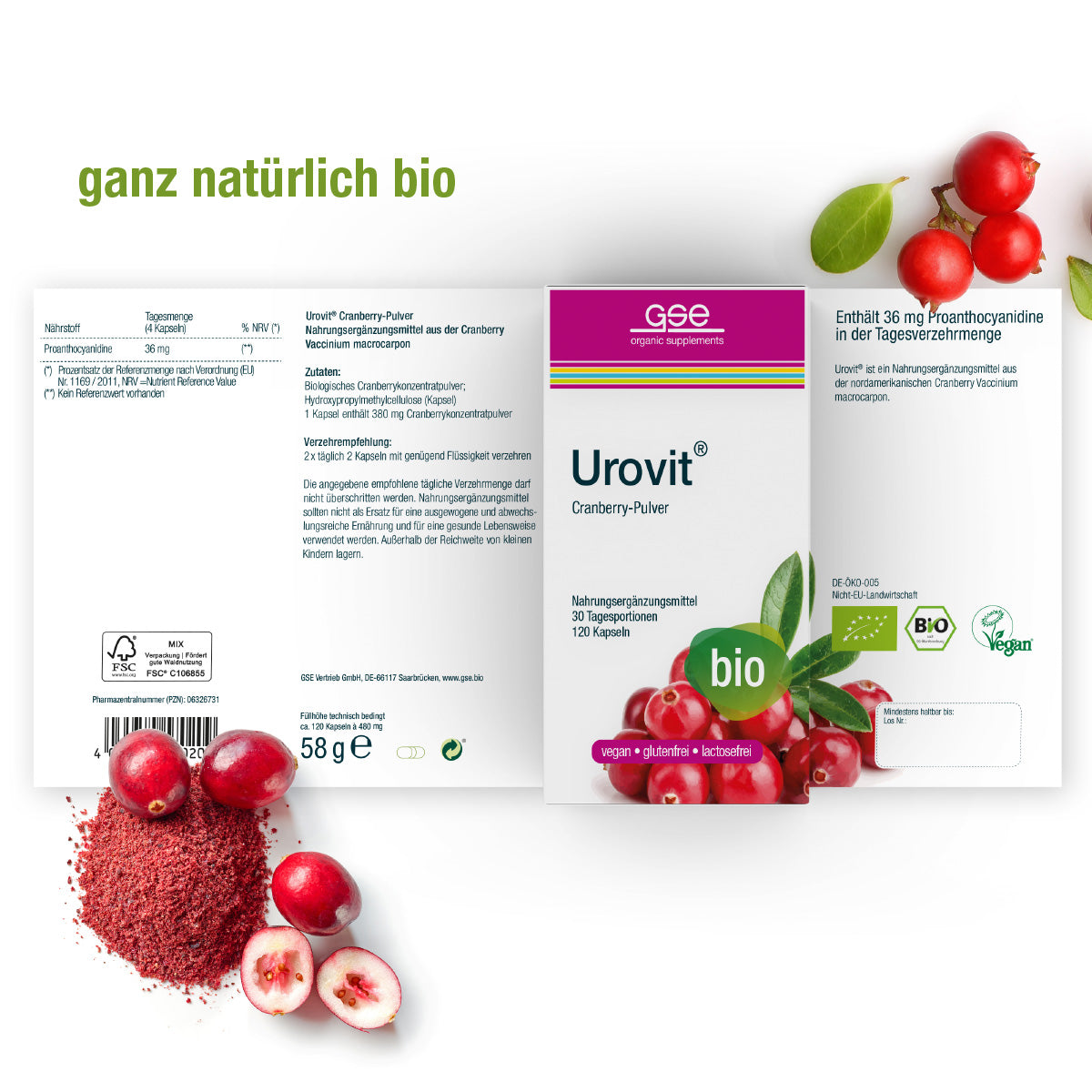 Das Bild zeigt Urovit®-Cranberry Kapseln (Bio) von gse.organic.supplements, ein veganes, glutenfreies Ergänzungsmittel mit Cranberry-Pulver und Blättern. Die Verpackung zeigt Bio-Etiketten und Details zu Inhaltsstoffen wie Proanthocyanidin sowie Nährwertangaben.