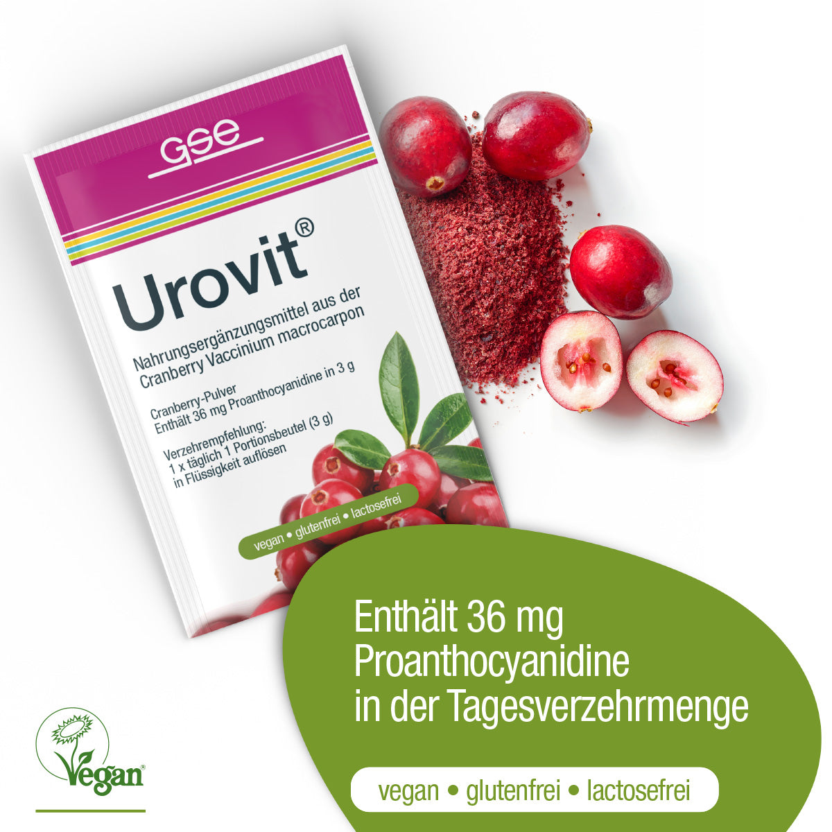 Eine Packung Urovit®-Cranberry Pulver von gse.organic.supplements liegt neben Cranberries und Pulver. Das Etikett hebt 36 mg Proanthocyanidin pro Tagesdosis sowie die Vorteile von veganen, glutenfreien und laktosefreien Produkten hervor.