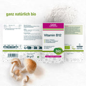 Dose gse.organic.supplements Vitamin B12 Compact (Bio) mit veganem und glutenfreiem Logo, deutscher Produktinformation, Barcode, Shiitake-Pilzen vorne und Pulver hinten auf weißer Fläche.