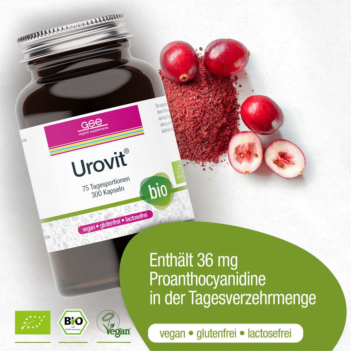 Eine Flasche Urovit®-Cranberry Kapseln (Bio) von gse.organic.supplements ist mit Cranberries und Pulver abgebildet. Dieses vegane, gluten- & laktosefreie Bio-Supplement liefert 36 mg Proanthocyanidin pro Tagesdosis.