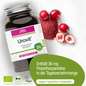 Eine Flasche Urovit®-Cranberry Kapseln (Bio) von gse.organic.supplements ist mit Cranberries und Pulver abgebildet. Dieses vegane, gluten- & laktosefreie Bio-Supplement liefert 36 mg Proanthocyanidin pro Tagesdosis.