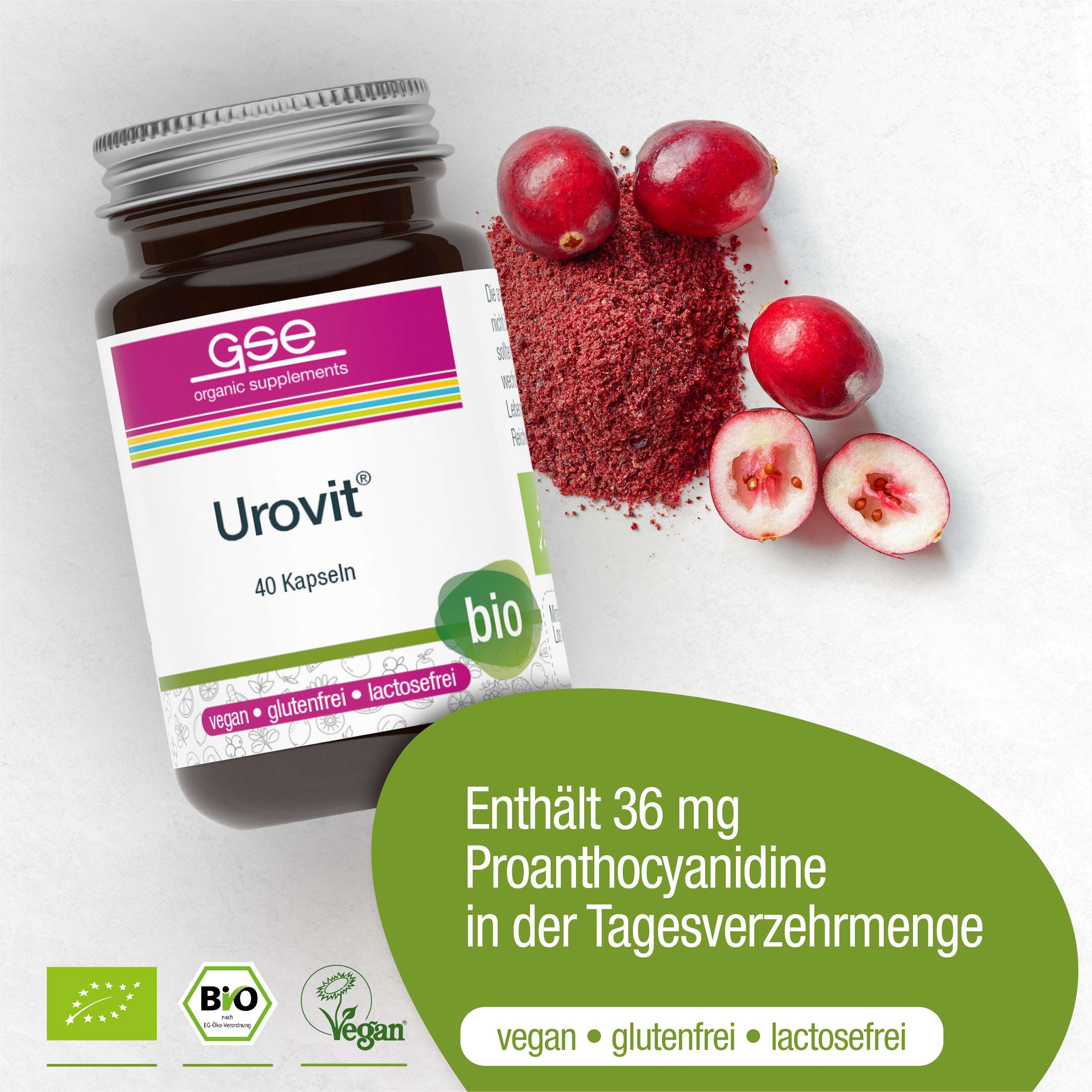 Eine Flasche Urovit®-Cranberry Kapseln (Bio) von gse.organic.supplements steht neben Cranberrypulver und Beeren, mit Etikettensymbolen für vegan, glutenfrei, laktosefrei, bio und 36 mg Proanthocyanidin pro Tagesdosis.