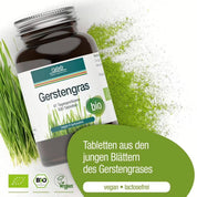 Eine braune Glasflasche mit der Aufschrift „Gerstengras Tabletten (Bio)“ von gse.organic.supplements, mit grünen Akzenten, umgeben von Gerstengras und Pulver. Eigenschaften: vegane, biologische, laktosefreie Tabletten aus jungen Gerstenblättern, hoher Nährstoffgehalt, kontrollierter Anbau.