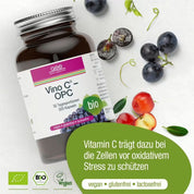 Eine Flasche Vino C® – OPC (Bio) von gse.organic.supplements steht auf einer hellen Unterlage mit Trauben und Blättern. Dieses vegane, glutenfreie Nahrungsergänzungsmittel enthält Bio-Traubenkernkonzentrat und Acerolapulver und liefert natürliches Vitamin C.
