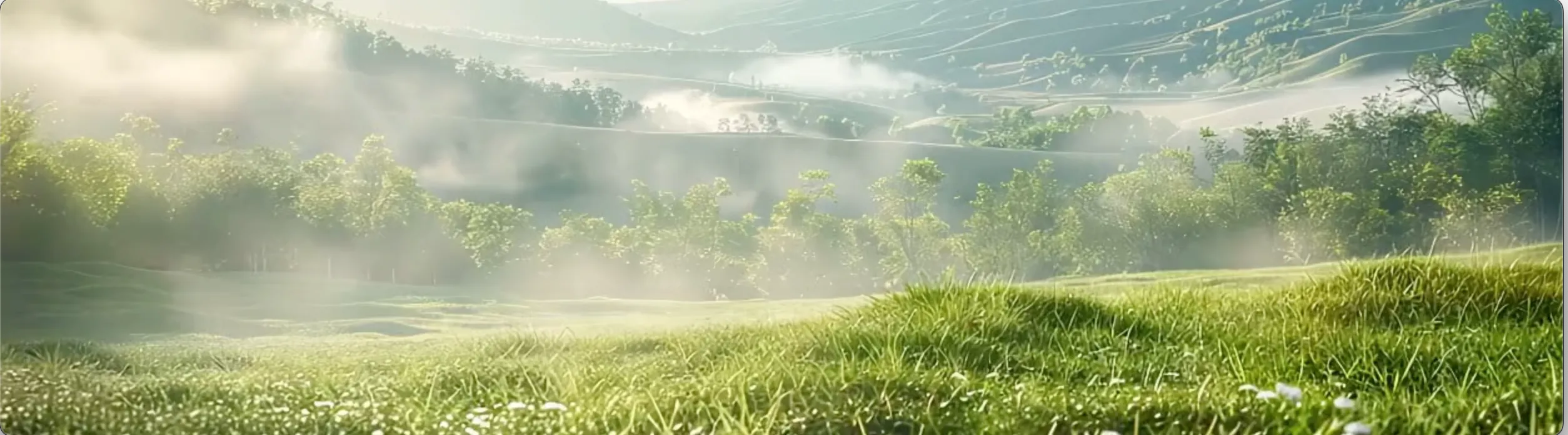 Eine üppige grüne Wiese mit Wildblumen im Vordergrund, zwischen den Bäumen aufsteigender Nebel und sanften Hügeln im Hintergrund unter sanftem Sonnenlicht.